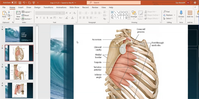 Talking Heads with Sue Bennett - Rib & Shoulder