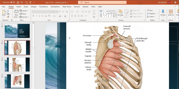 Talking Heads with Sue Bennett - Rib & Shoulder